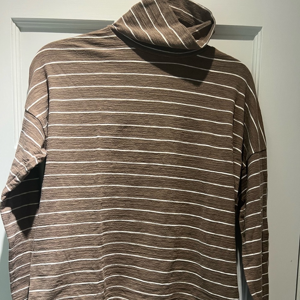 Madewell striped turtleneck shirt